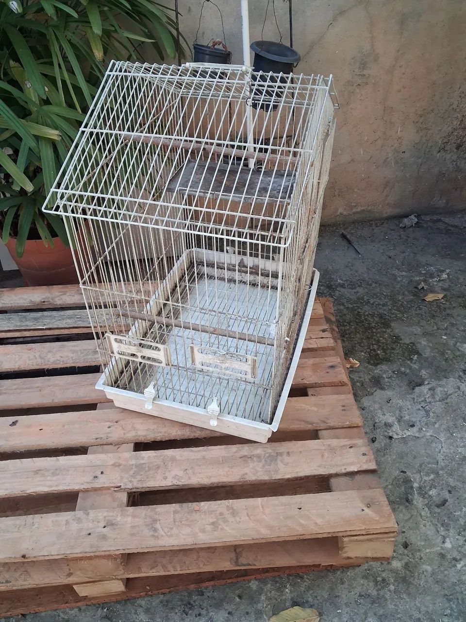 Gaiola para pássaros  - Foto 2