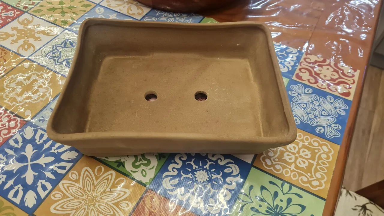 Vasos de Bonsai - Foto 4