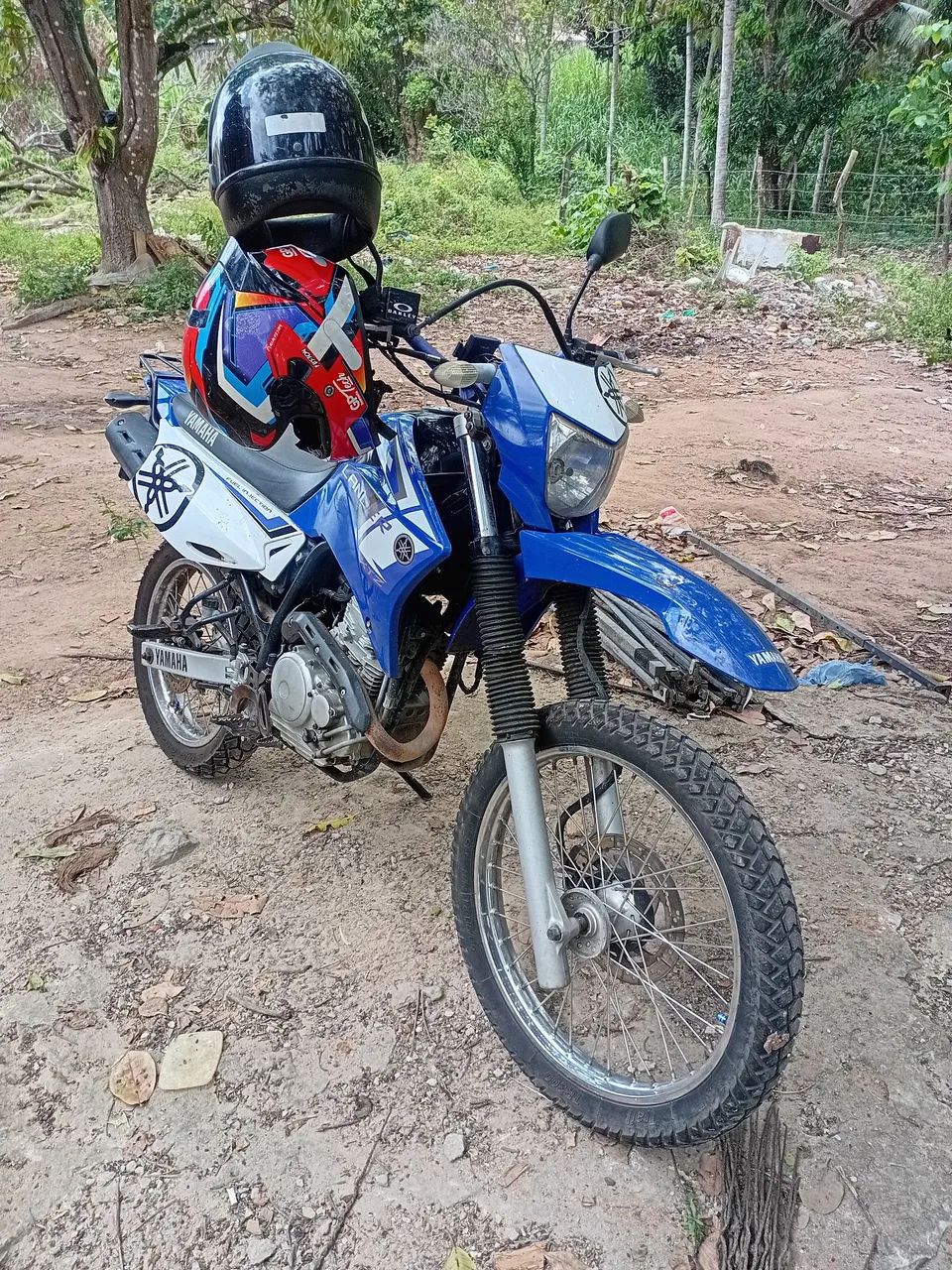 Lander 250 - Foto 2
