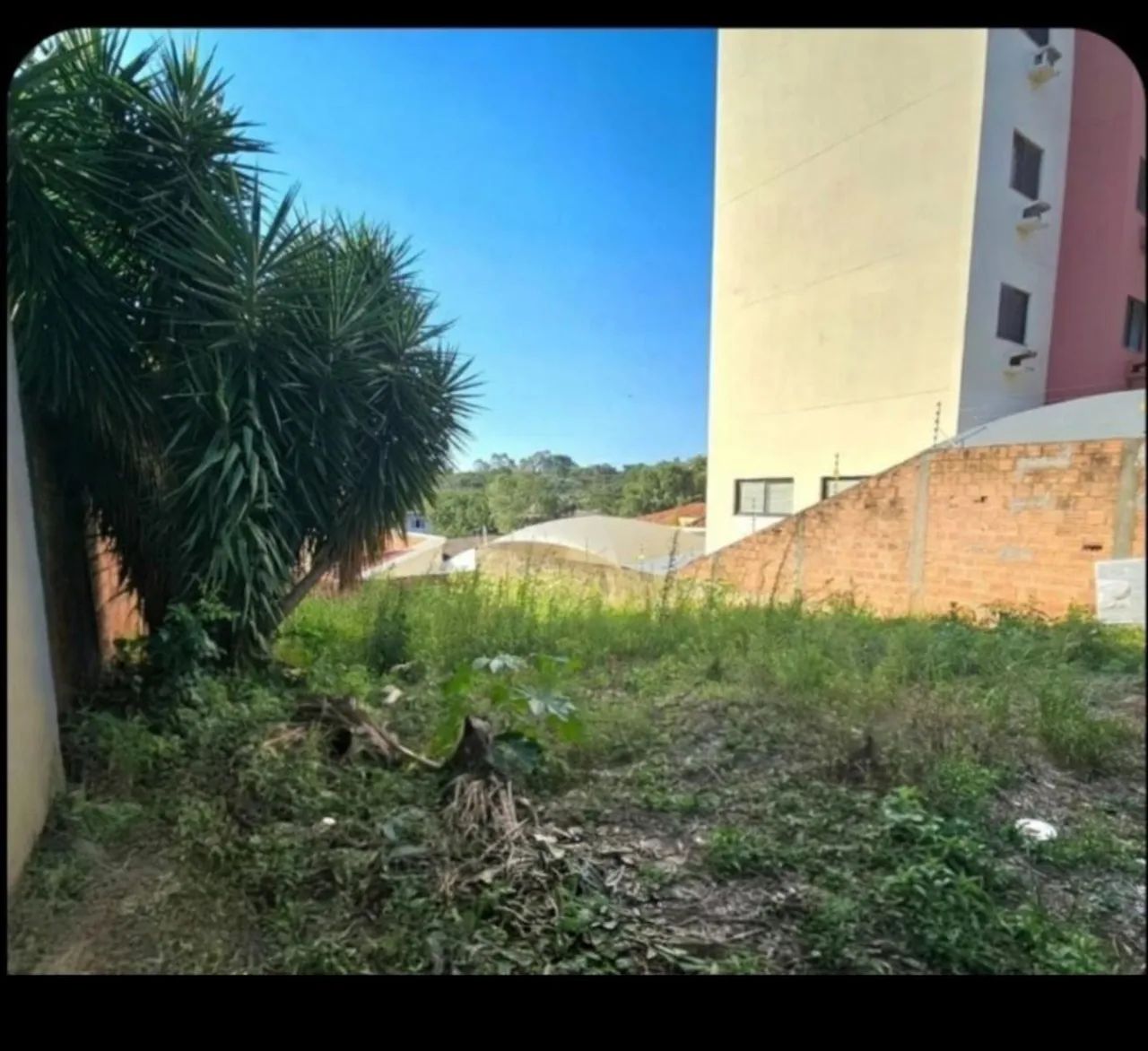 Terreno em bairro nobre - Foto 2