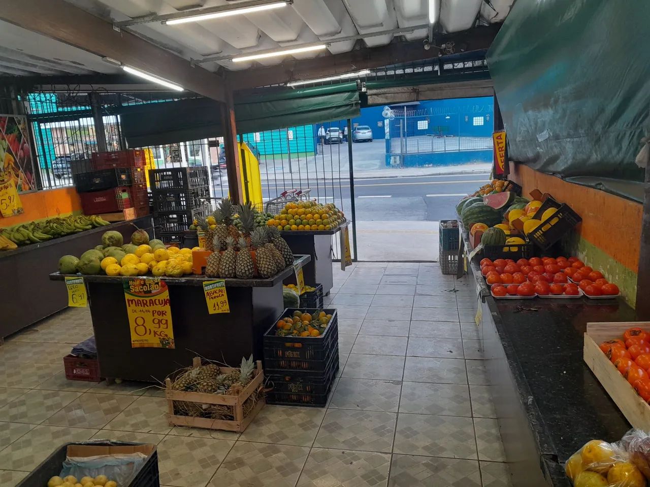 Hortifrut a venda - Foto 3