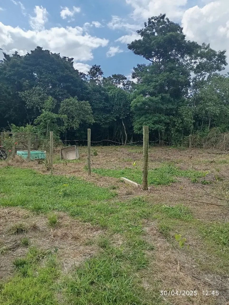 Terreno em Adrianópolis/Jardim Cachoeira  - Foto 2