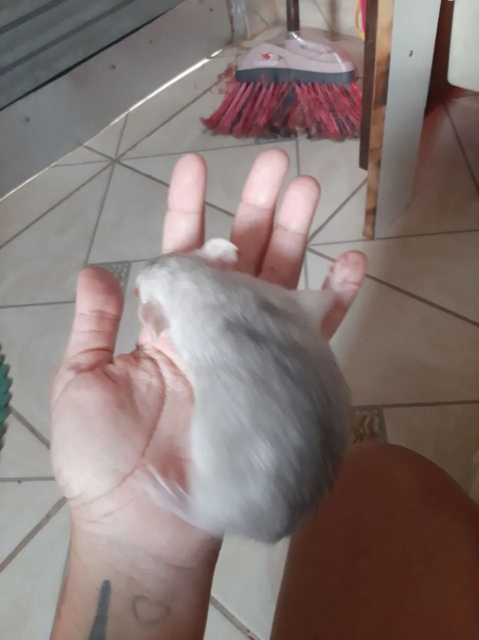 Rato twister  - Foto 5