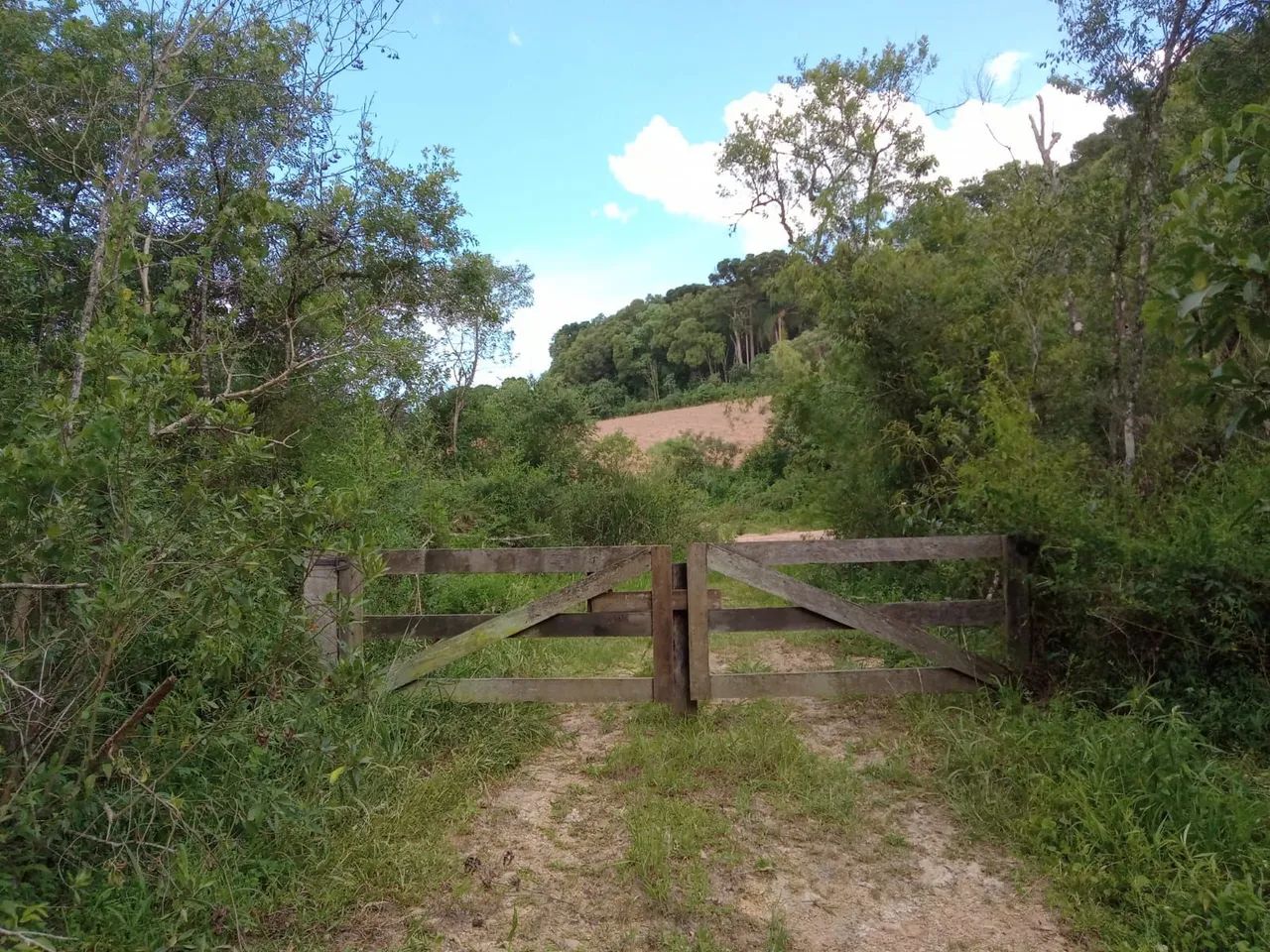 Terreno Rural em Antônio Olinto 