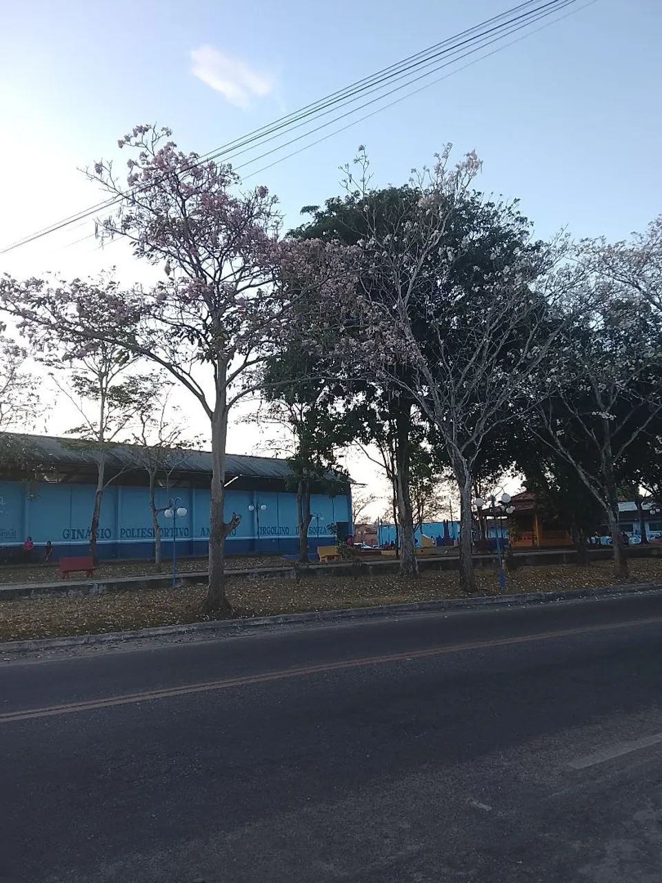 DIVIDIR KIT NET EM CASTANHAL 250 CADA  - Foto 2