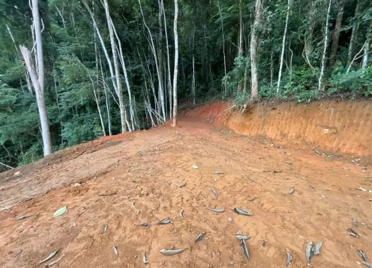 Terreno vargem alta  - Foto 4