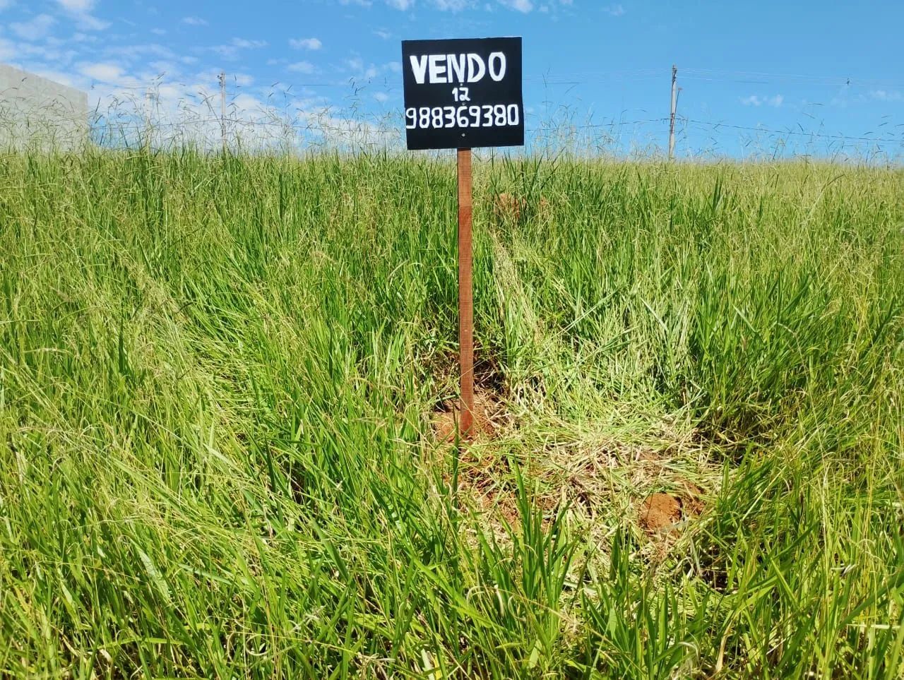 Foto - São José dos Campos - Jardim Torrão de Ouro