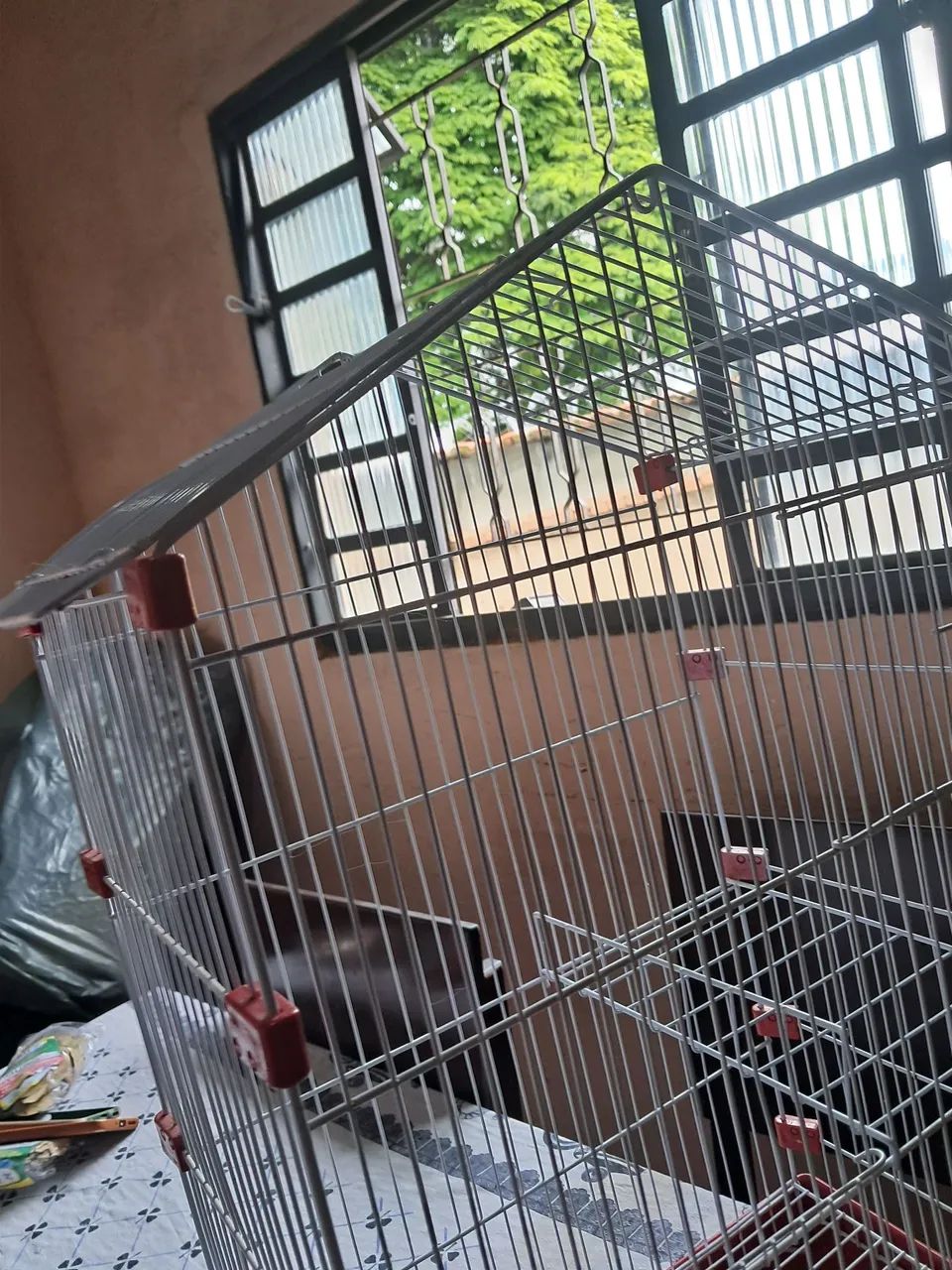 Gaiola grande para belga - Foto 5