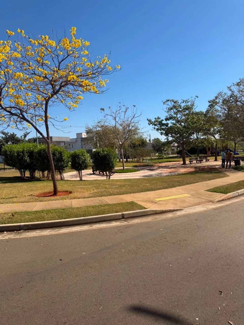 Lote no Terras Alfa 1 - Foto 3