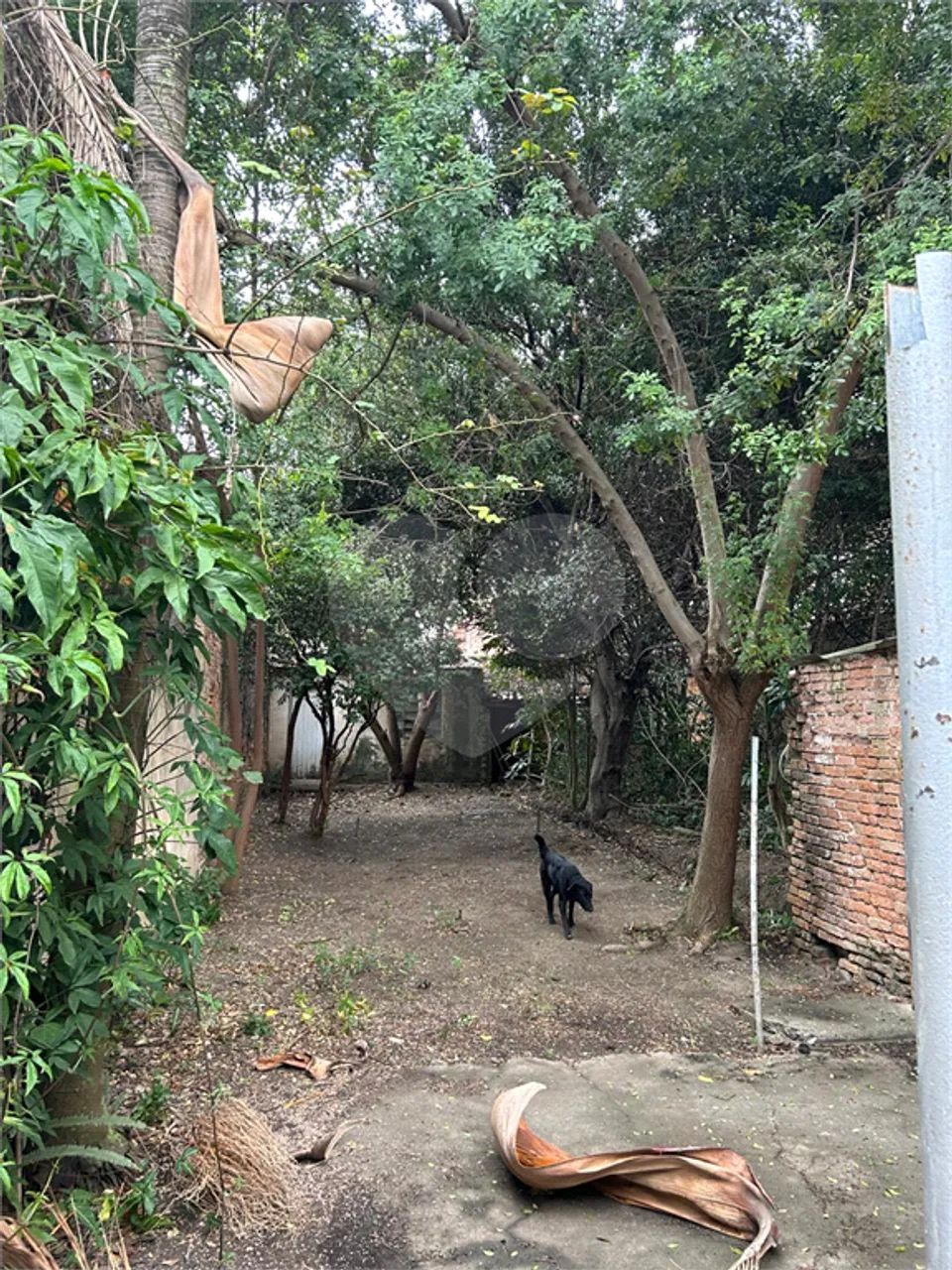 Terreno à venda ou para locação em Perdizes - SP - Foto 5