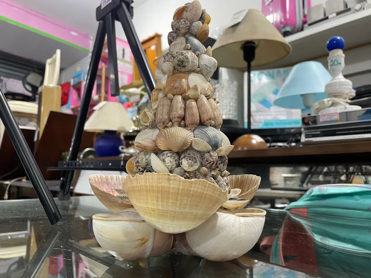 Decoração Árvore de Conchas - Foto 3