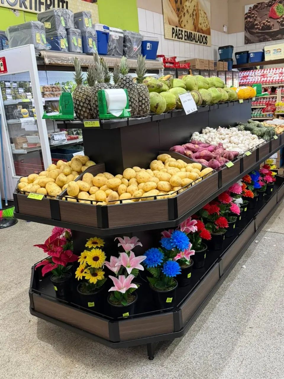 Vasca HortiFruti a pronta entrega  - Foto 2