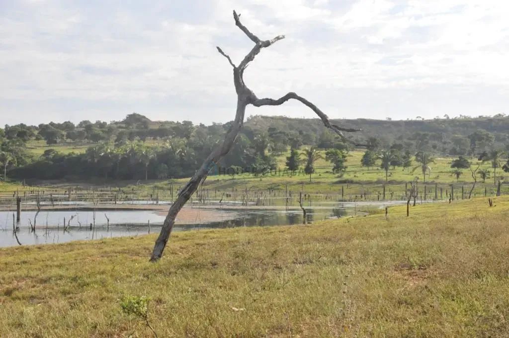 IMPERDIVELArea em Ascenção Turística -Lago Manso - Foto 4