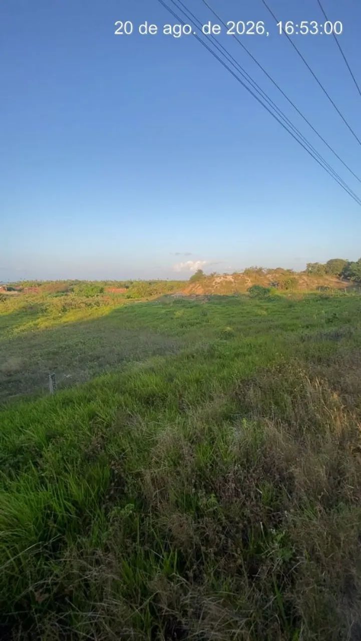 Terreno em Muriú  - Foto 2
