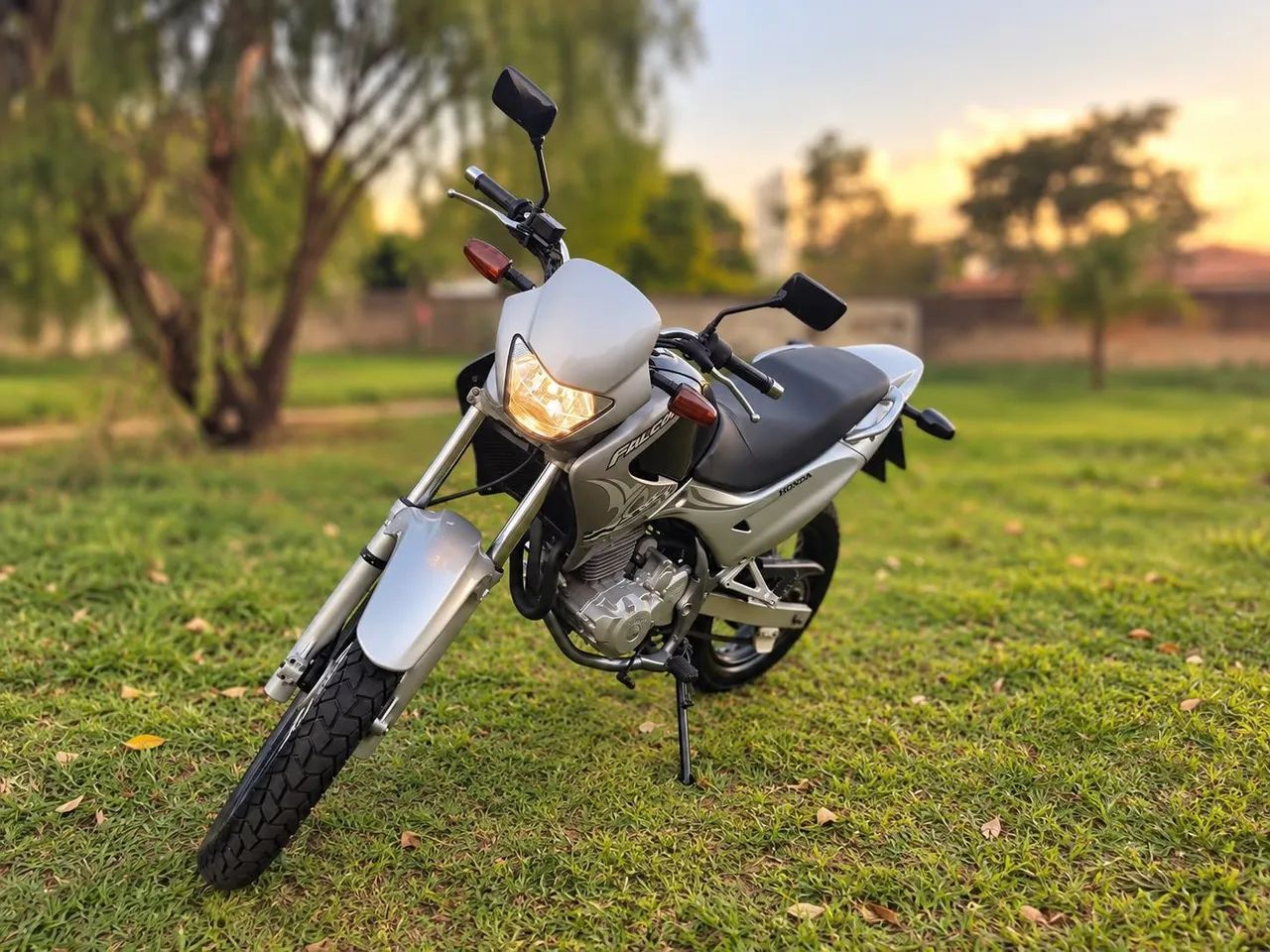 Falcon 2006 - Foto 3