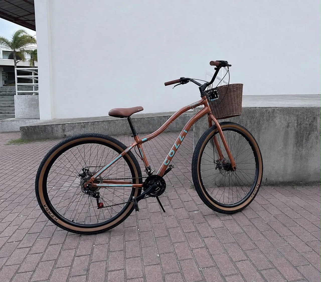 Bicicleta 