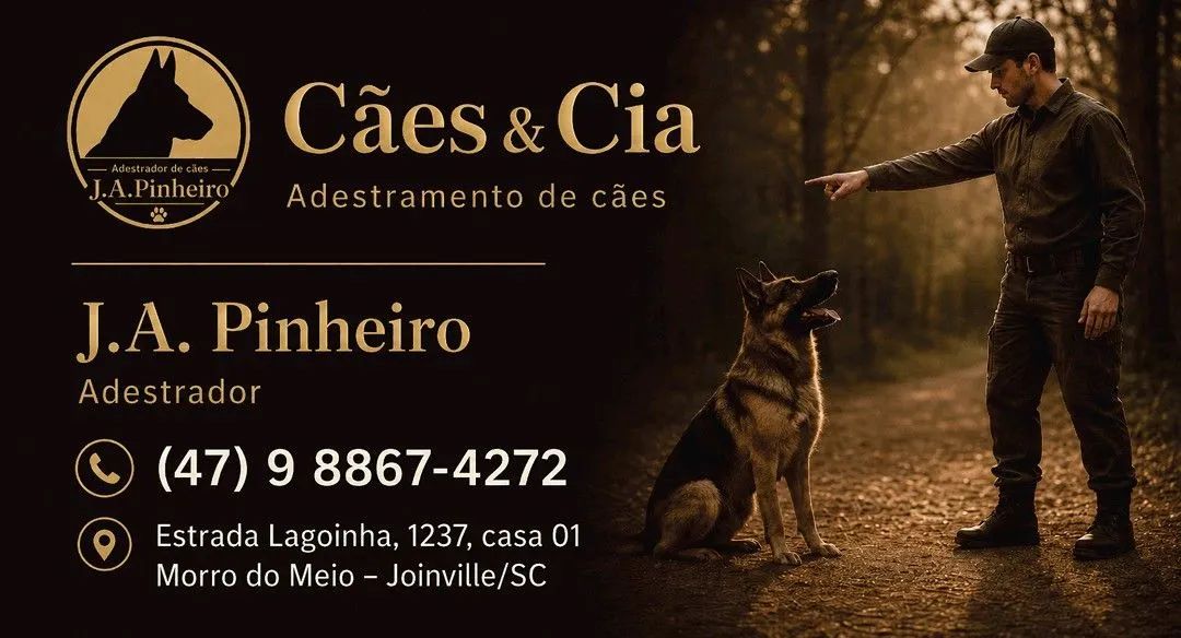 Adestramento de cães  - Foto 2