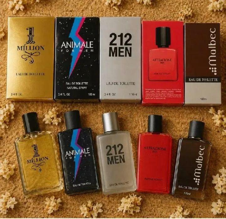 Perfumes importados 100ml 