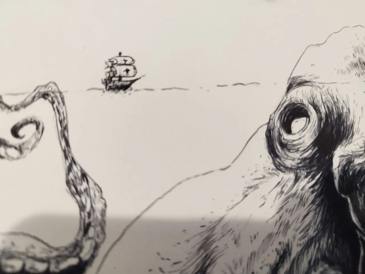 Desenho realista polvo gigante, totalmente feito a caneta - Foto 4