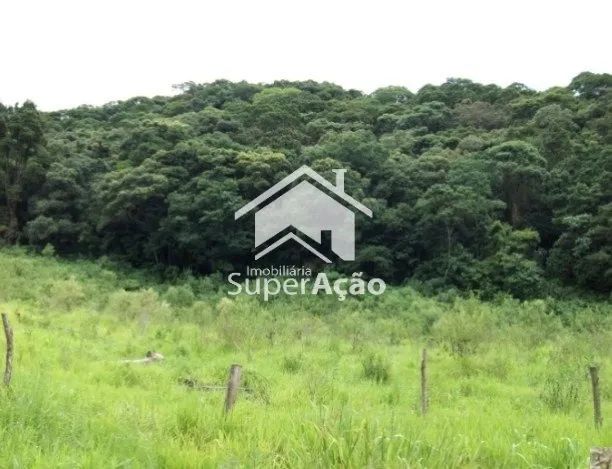 ÁREA RURAL COM 49.000 m² EM CAMANDUCAIA/MG. - Foto 5