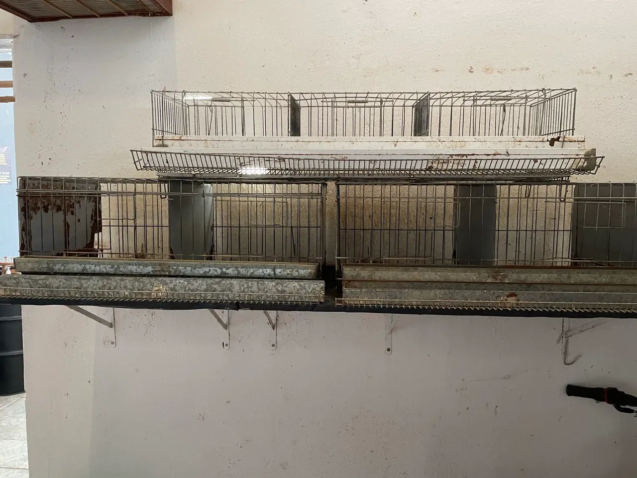 Vendo gaiola de codornas 