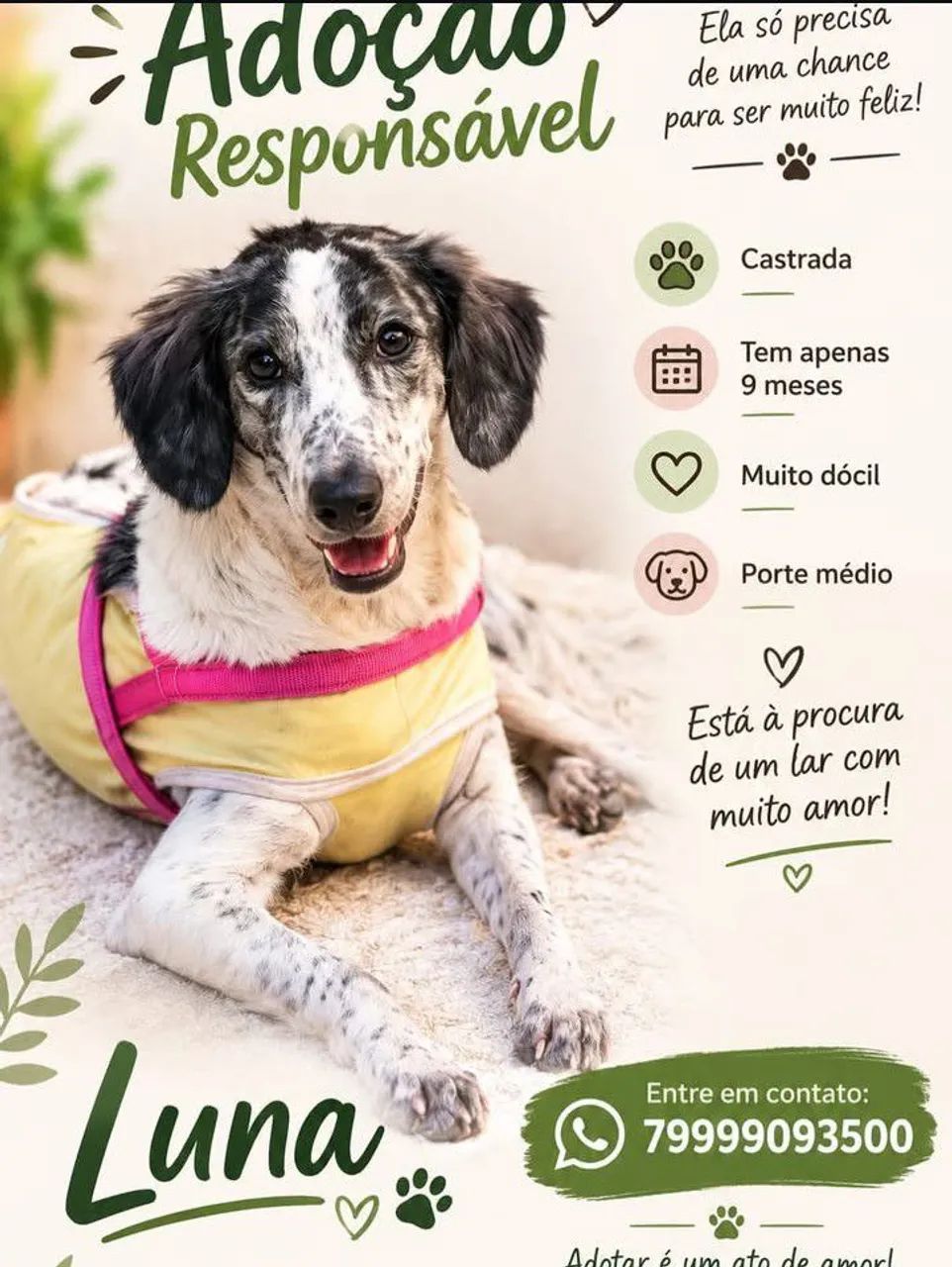 FLOQUINHO e LUNA  - Foto 2