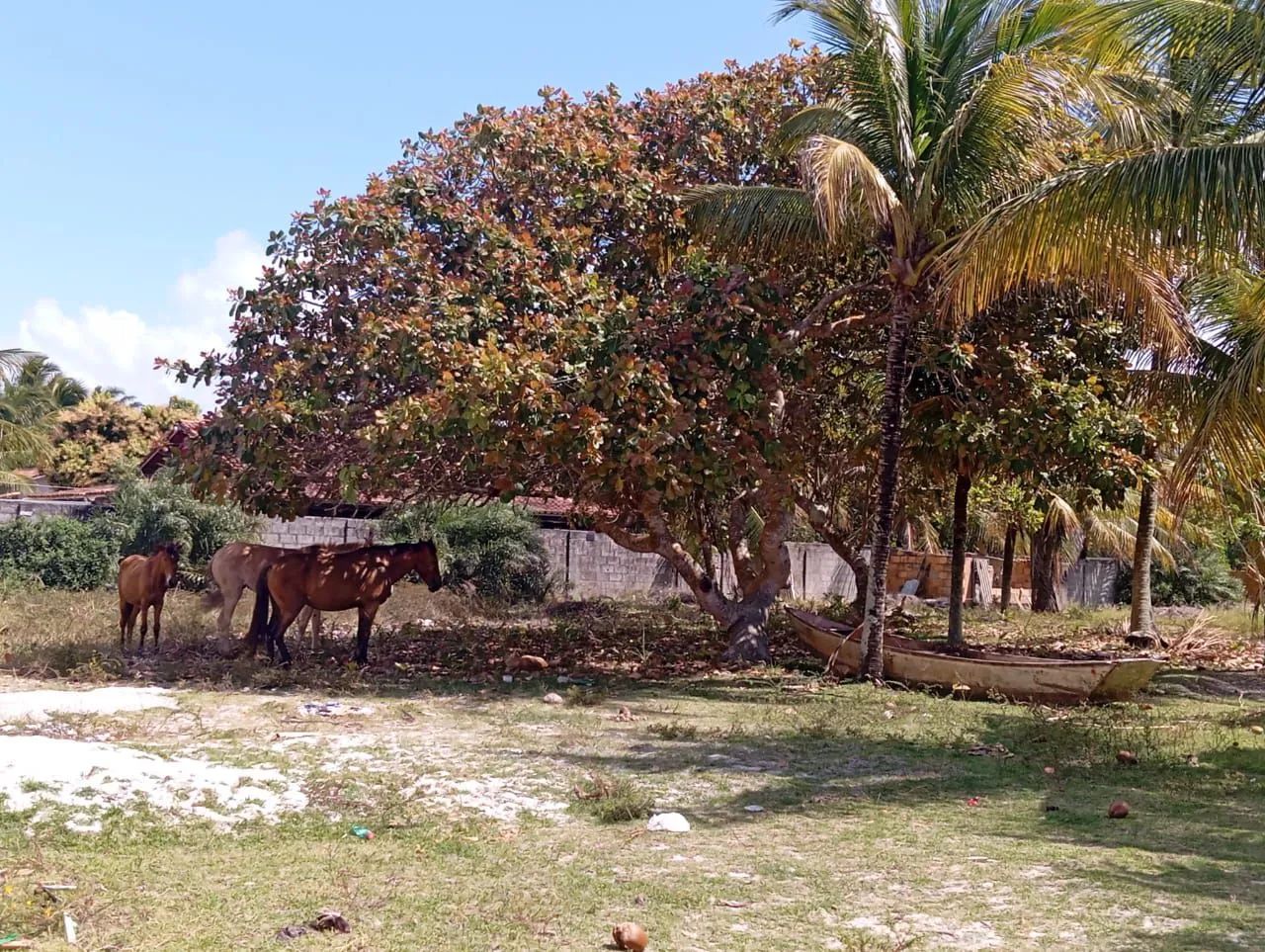 Vende-se terreno em Nova viçosa 