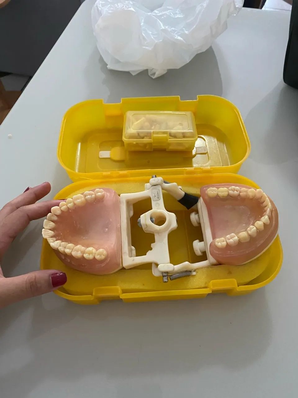 manequim pronew + dentes extras  - Foto 2