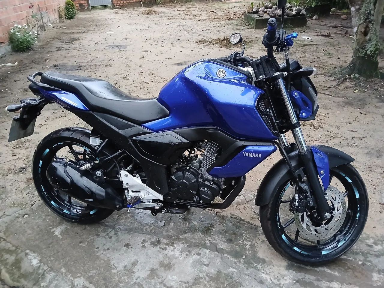 Fz15 2024 