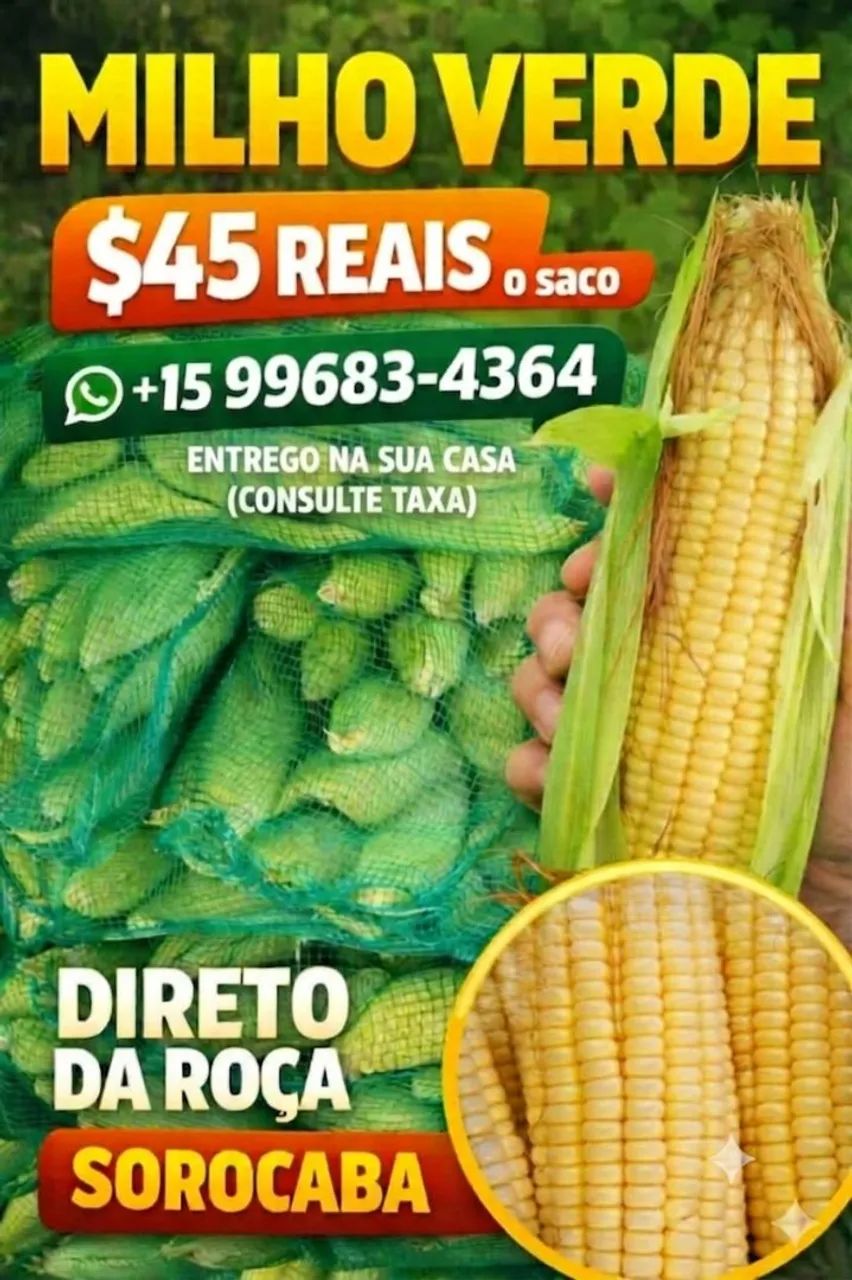 VENDO MILHO ? - Foto 2