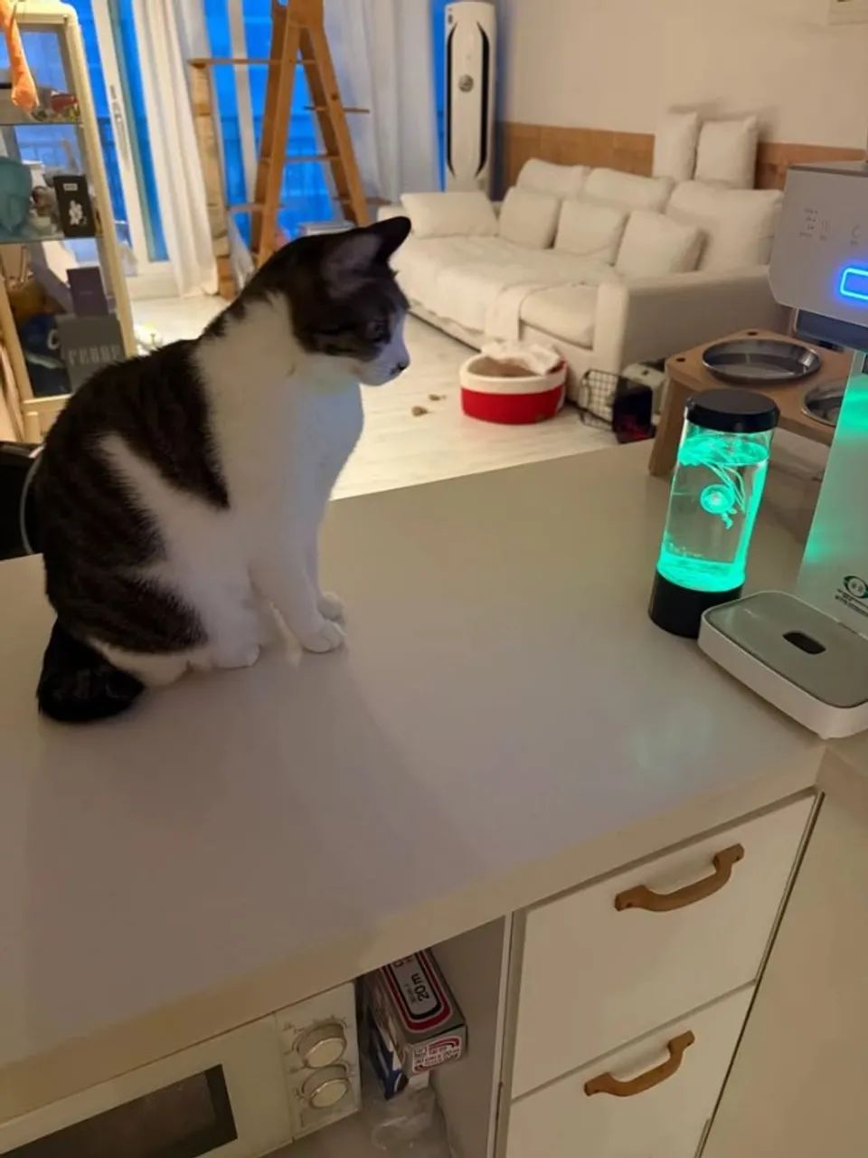 Luminária com Águas-Vivas RGB