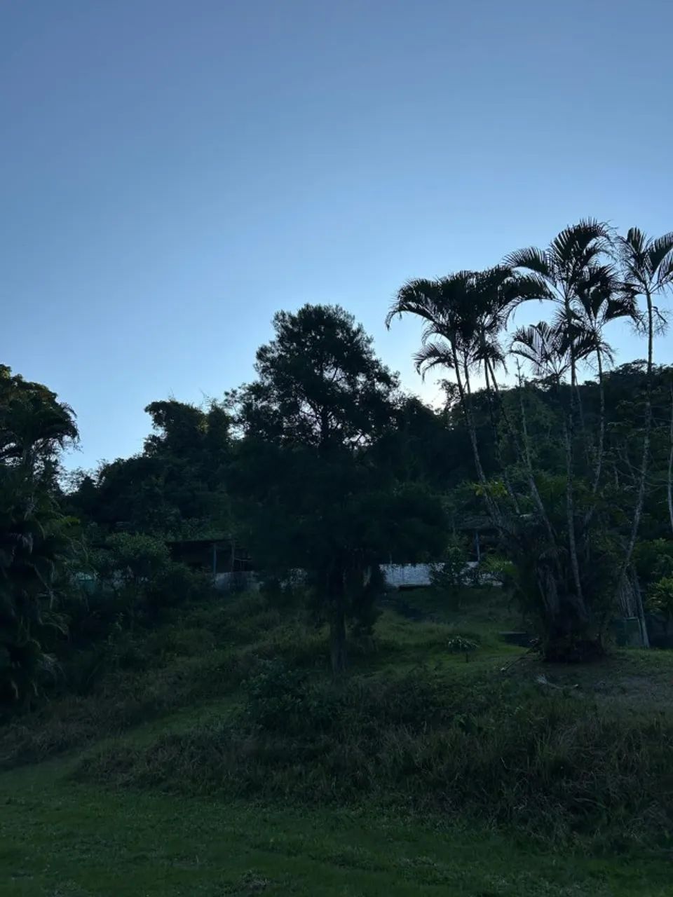 Sítio em Adrianópolis, 45m2, com RGI - Foto 3
