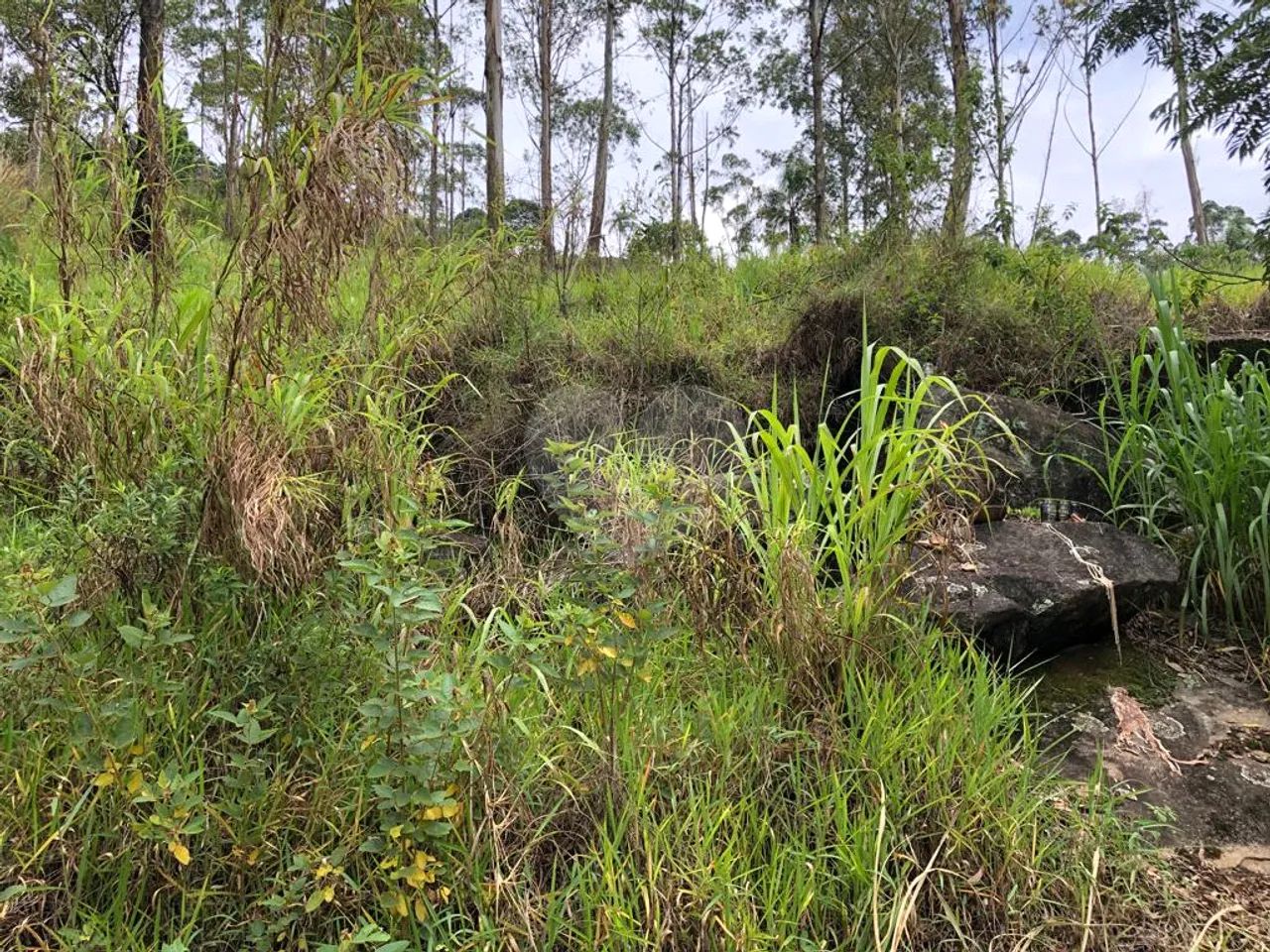 Terreno à venda em Barreiro - SP - Foto 3