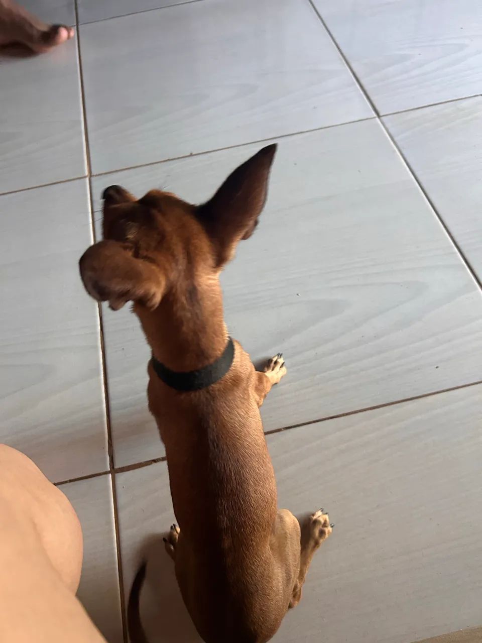 Procuro namorada  - Foto 2