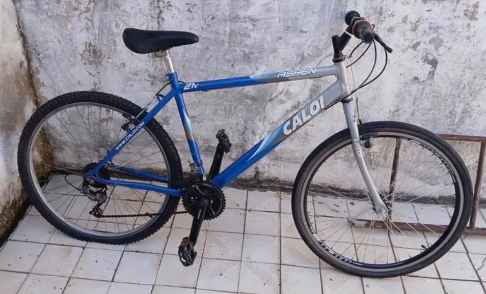 Bicicleta- ARO 26