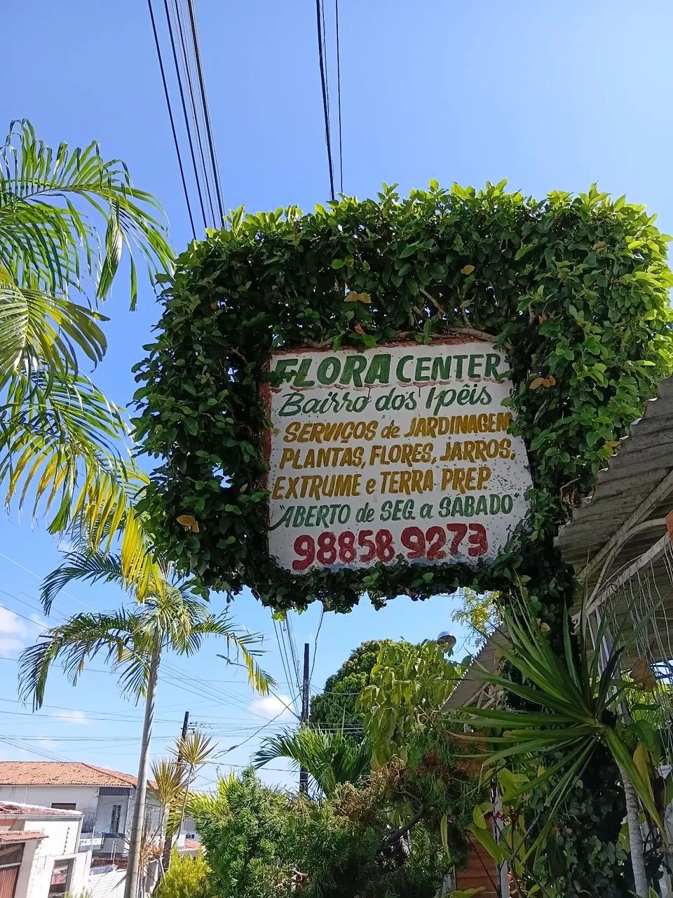 Flora center 