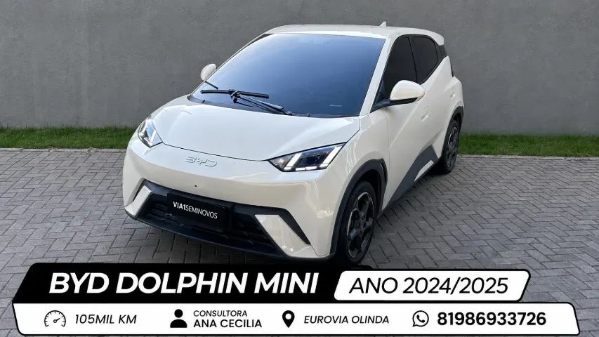 BYD Dolphin Mini (Elétrico) 2027