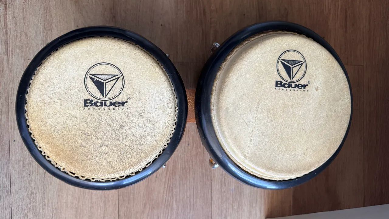 Bongo 