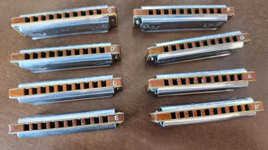 kit 8 gaitas bends juke harmonica diatonica corpo madeira