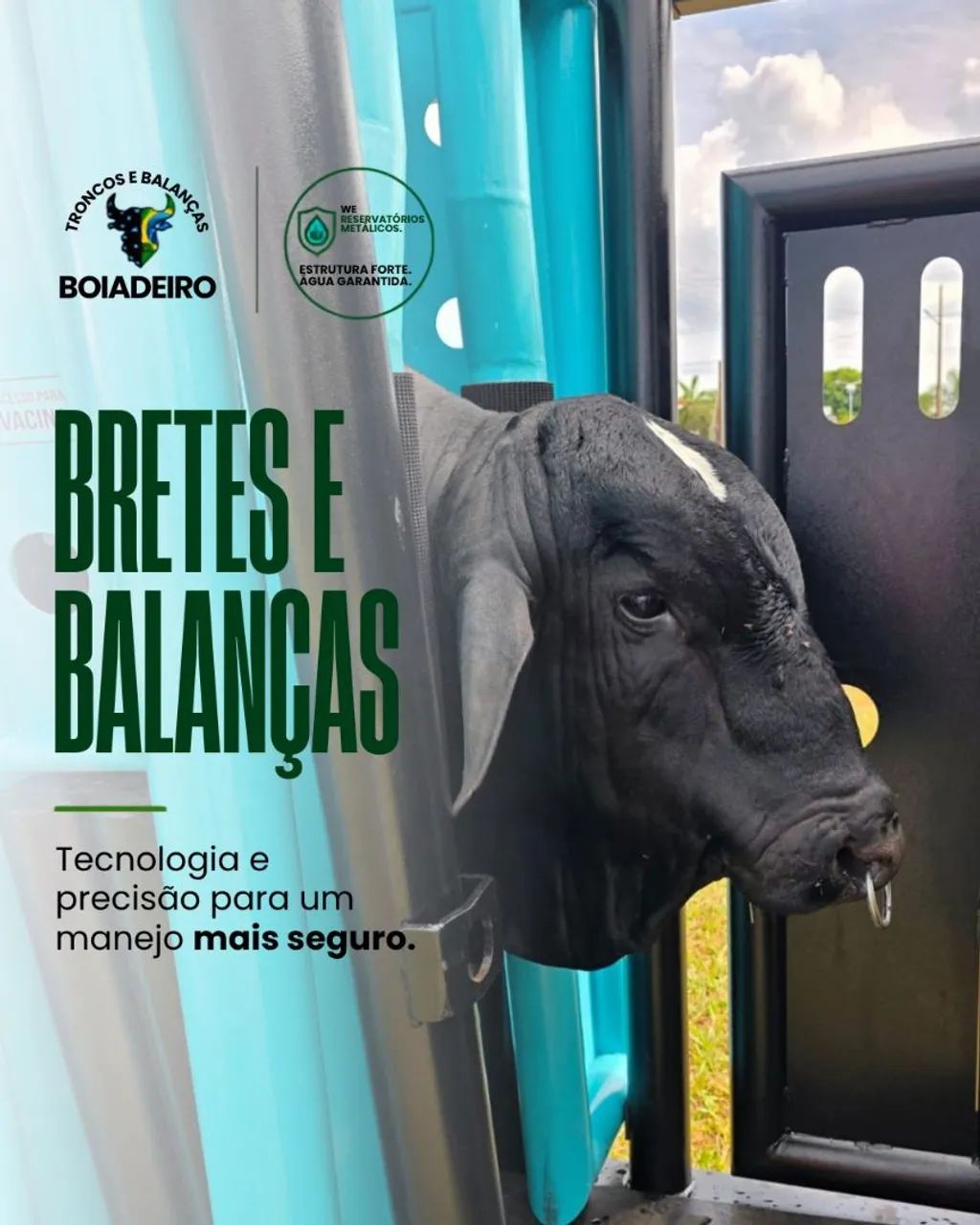 Brete Boiadeiro  - Foto 2