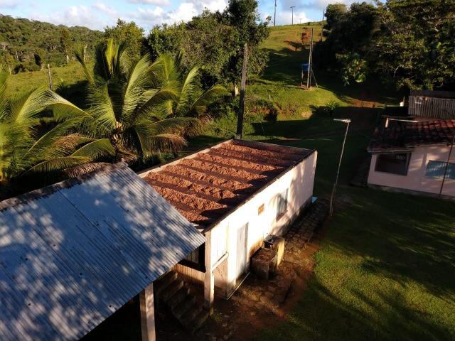 Fazenda Ilhéus Bahia/ Sul da Bahia - Foto 8