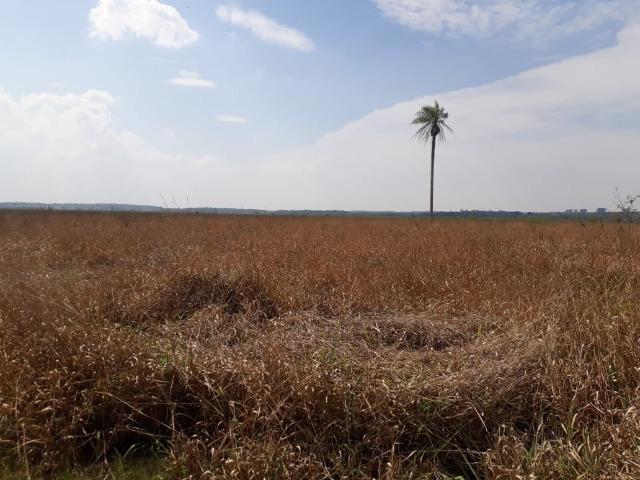 Fazenda 1000 Hectares para Lavoura em Bonito - Foto 2