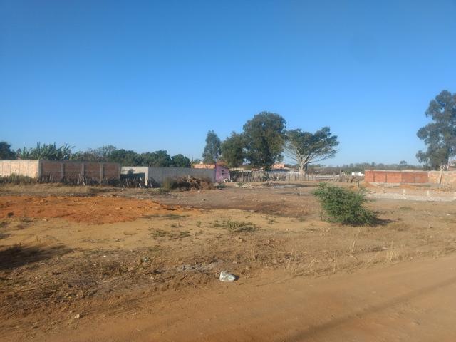 Terreno no Pradoso - Foto 4