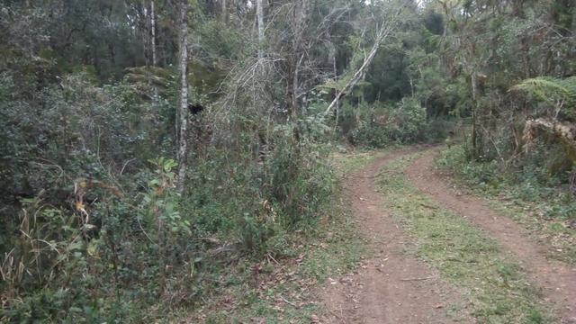 Fazenda plana