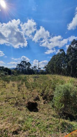 Sitio em Urubici/ chácara em Urubici