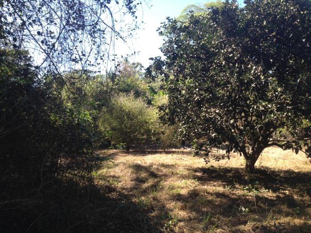 Pesqueiro região de Santo Antonio Do leverger - Foto 18