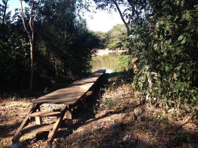 Pesqueiro região de Santo Antonio Do leverger - Foto 9