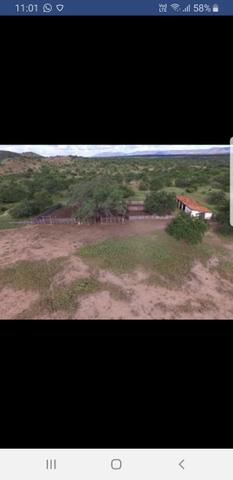 Fazenda - Foto 6