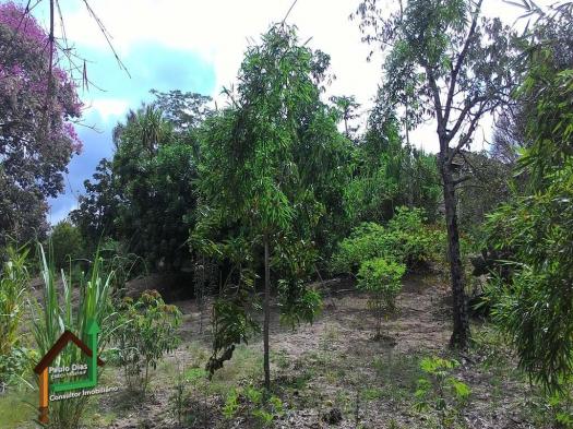 Chácara muito bem localizada, ideal para quem busca tranqüilidade na região do Circuito da - Foto 18
