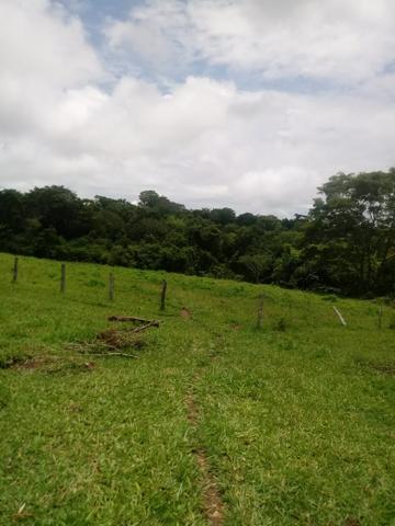 Chácara - Foto 4